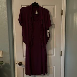 Tianna berry colored dress with matching jacket.